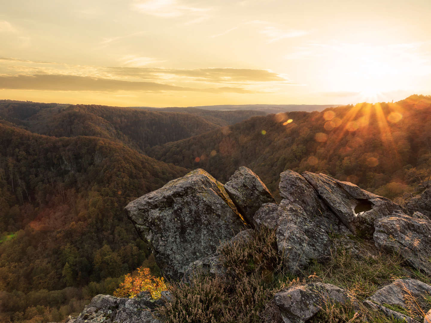 5 Wohlfühltage im Harz - Midweek   