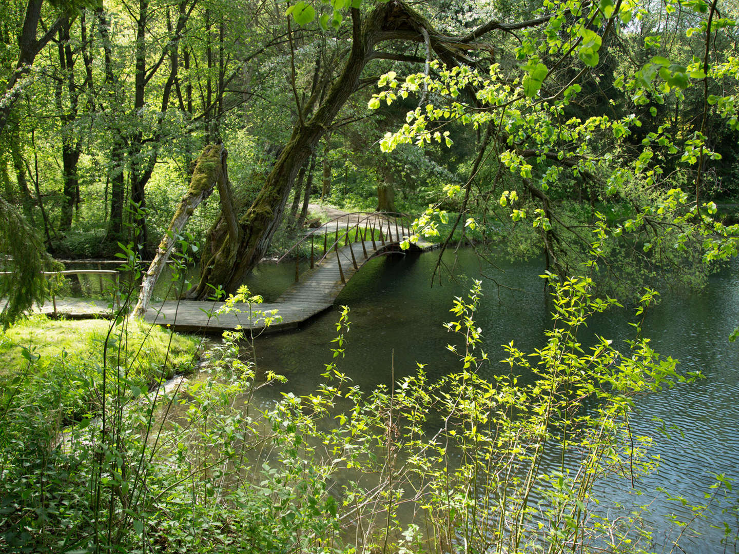 Fröhliches Treiben zu Pfingsten