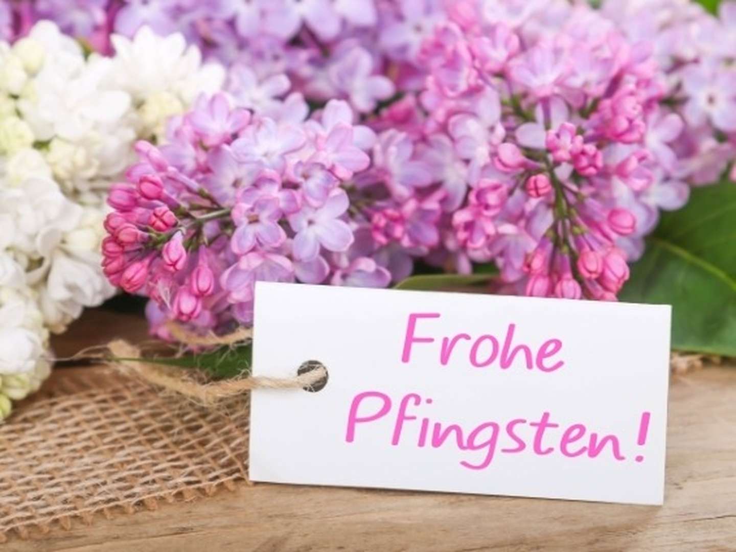 Fröhliches Treiben zu Pfingsten