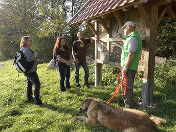 Städtereise -zwischen Teutoburgerwald und Weserbergland