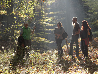 Wandern zwischen Teutoburger Wald & Weser Bergland 