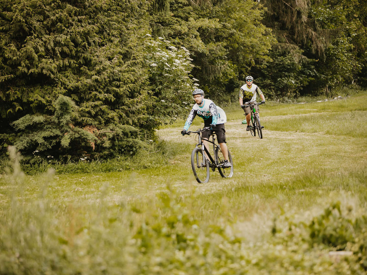 Urlaub zwischen Weser Bergland & Teutoburger Wald 