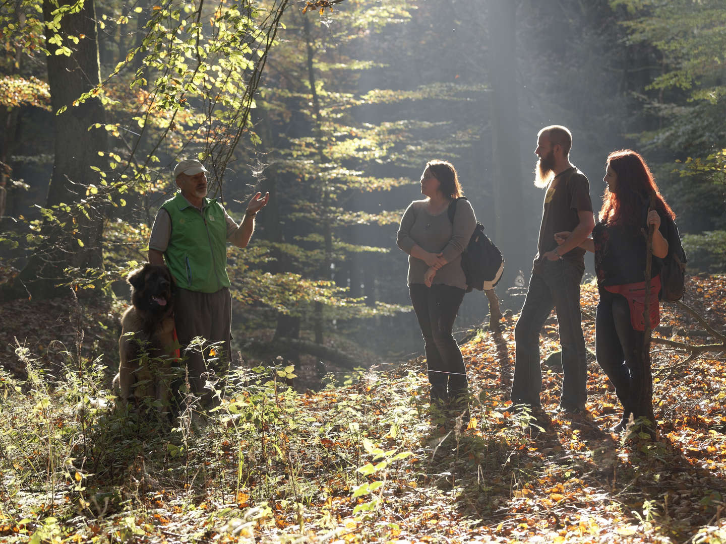 6 Tage in Ostwestfalen Lippe zw. Teutoburger Wald & Weser Bergland