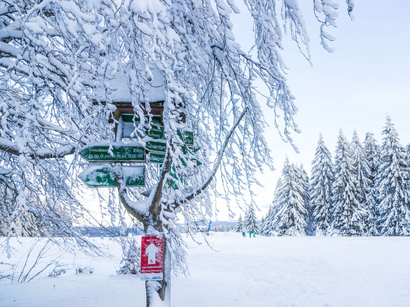 Neujahresschnäpchen 4 Tage Thüringer-Wald-Entdecker Winter