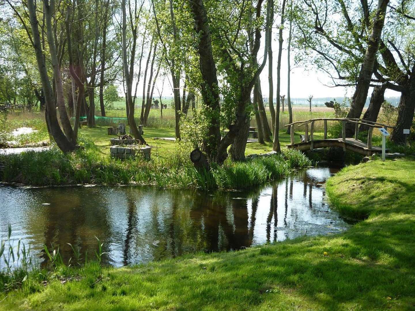 Natur pur auf der Insel Rügen