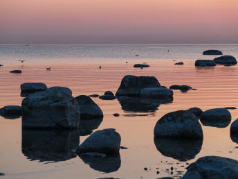 Natur pur auf der Insel Rügen