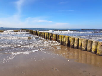 Natur pur auf der Insel Rügen