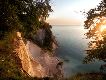 Natur pur auf der Insel Rügen