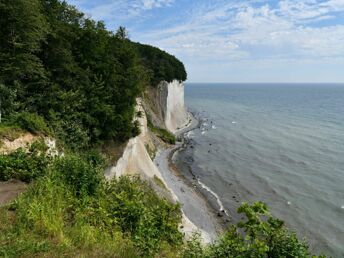 Natur pur auf der Insel Rügen