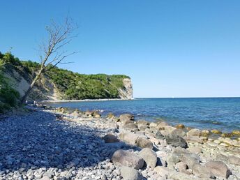 Natur pur auf der Insel Rügen