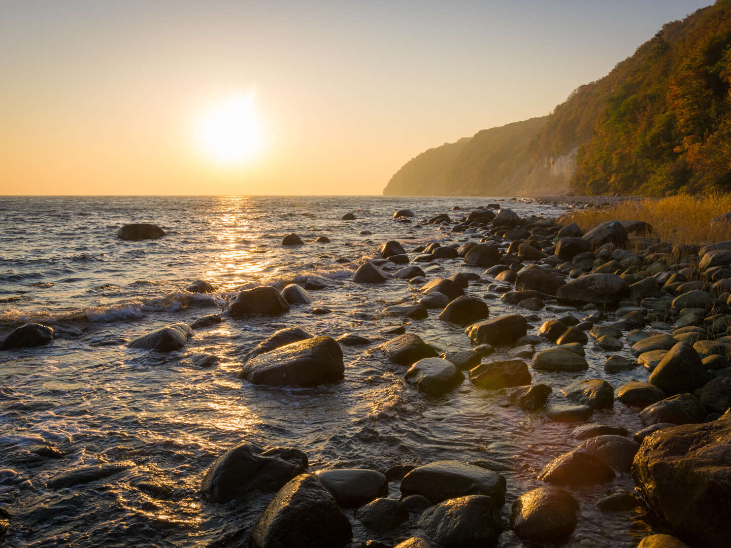 Natur pur auf der Insel Rügen