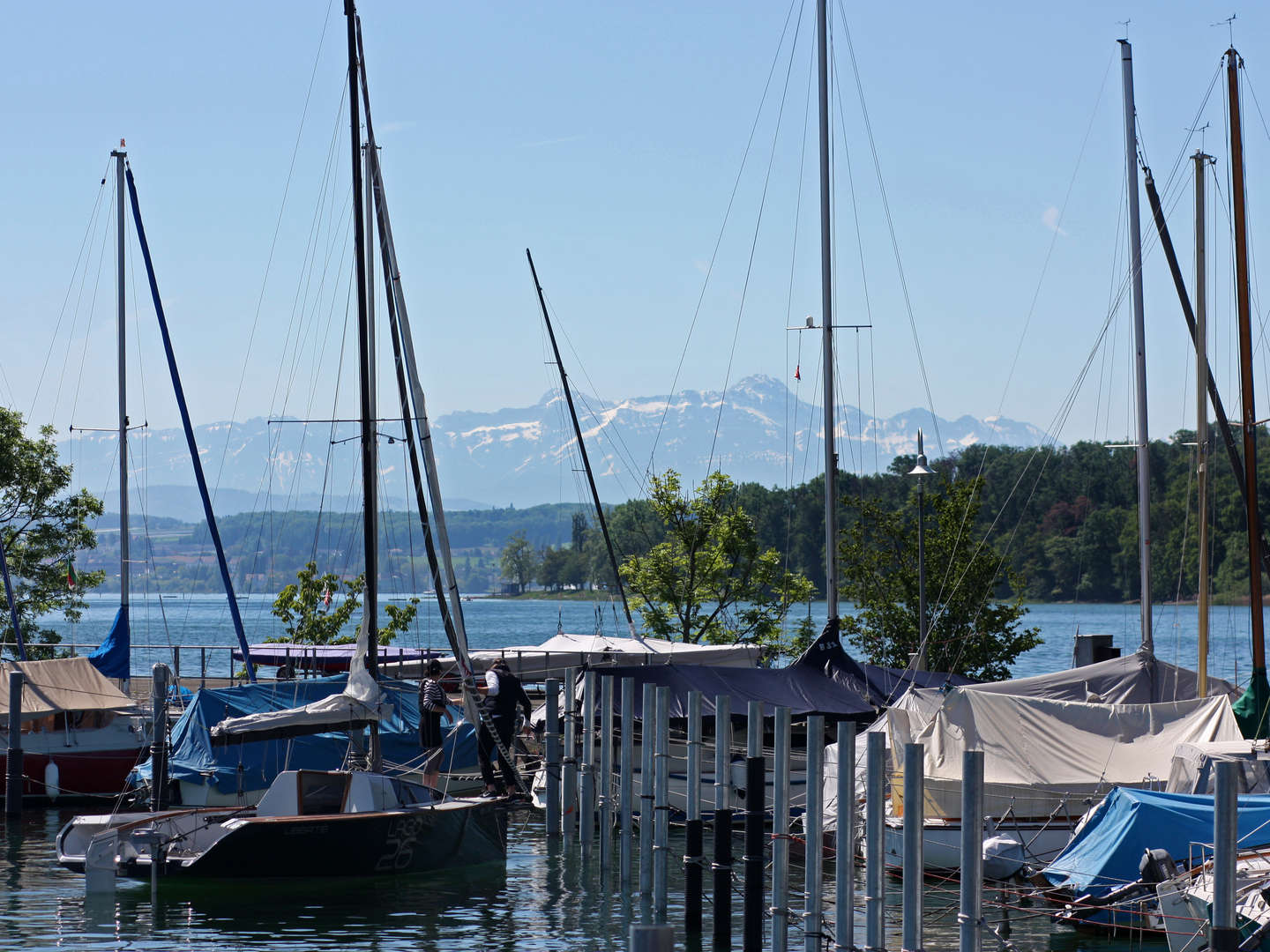 Bodensee-Genuss- 4 Tage am Bodensee