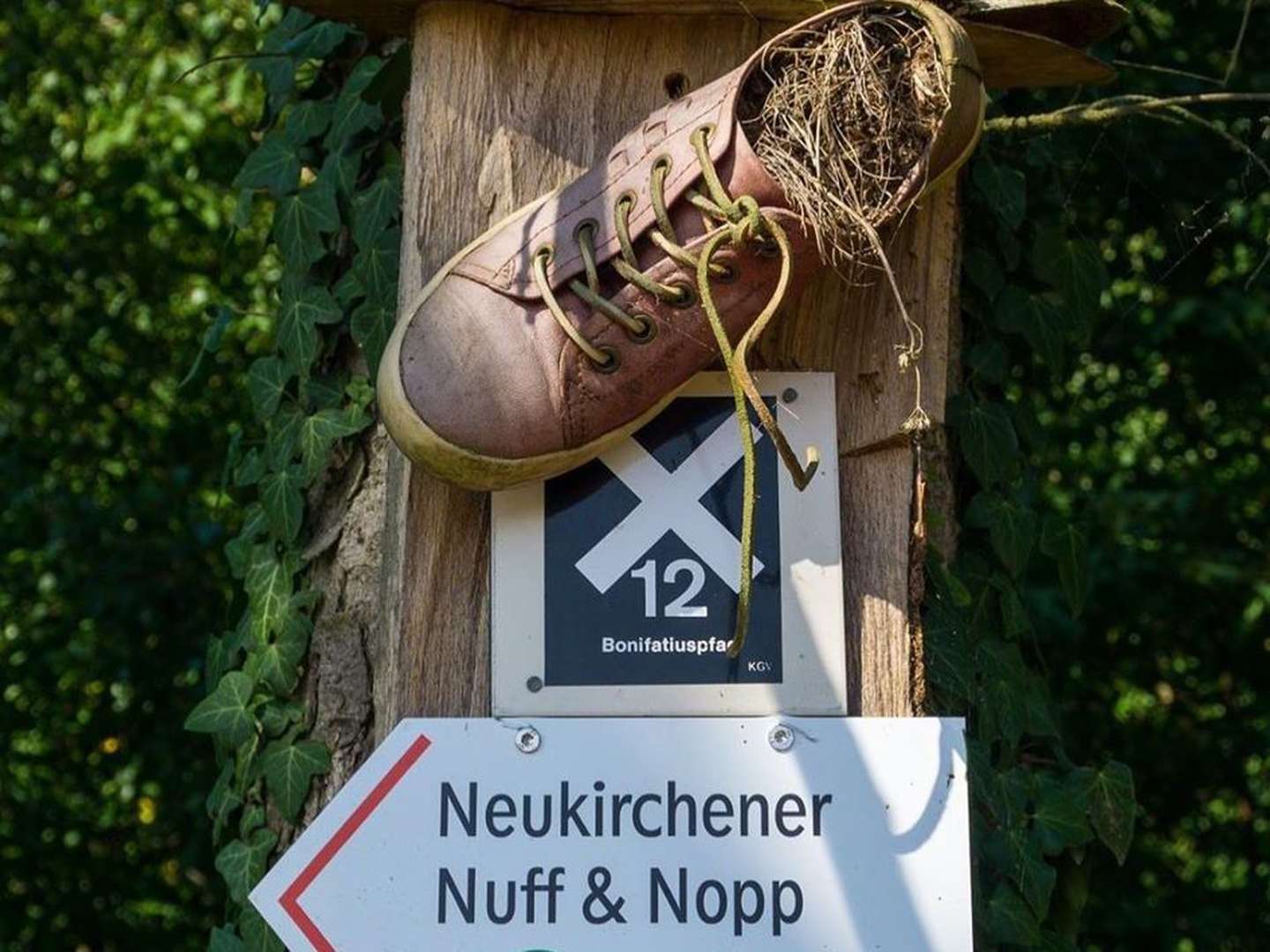 Aktiv im Naturpark Knüll