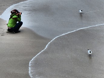 Frühling und Mee(h)r - Auszeit in Zingst