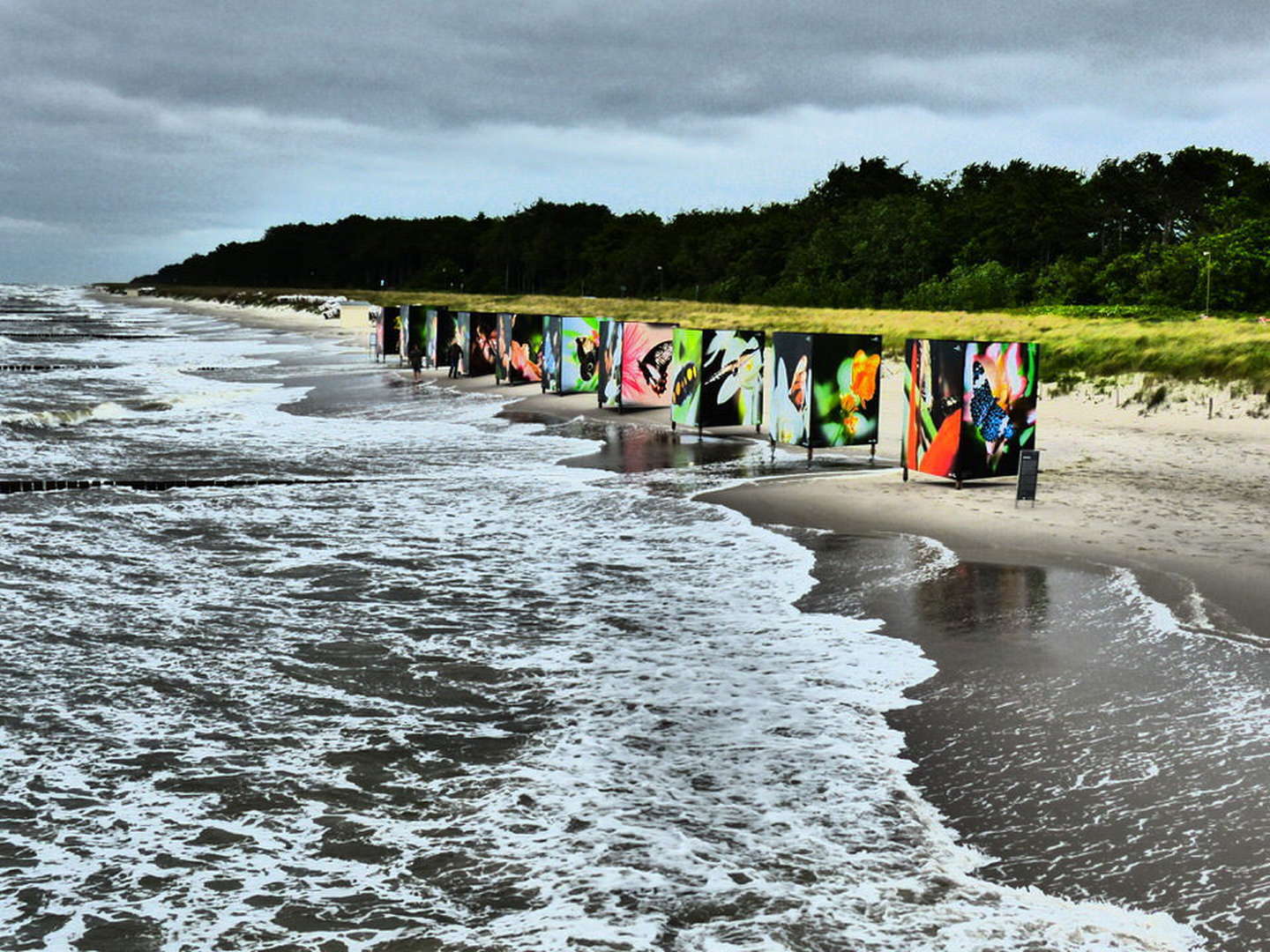 Die Faszination Herbst in Zingst erleben