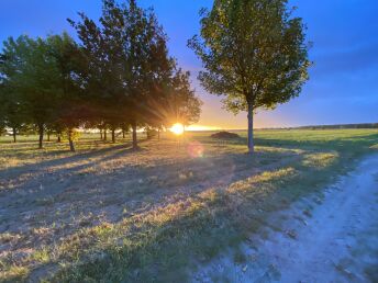 Auszeit am Arendsee unsere Perle der Altmark 