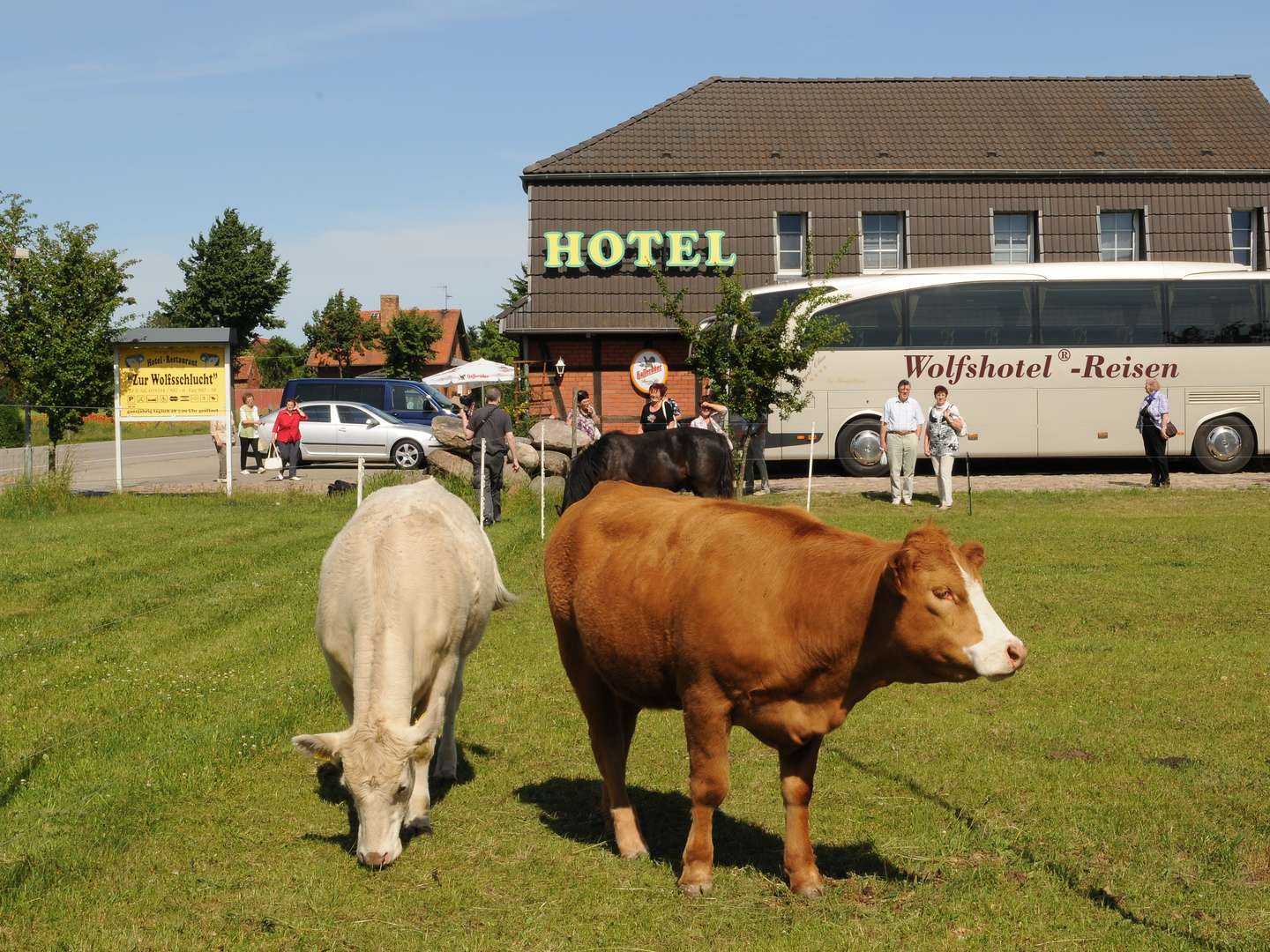 Auszeit am Arendsee unsere Perle der Altmark 