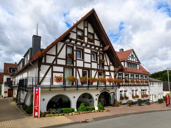 Tannenbaumschlagen im Advent im Sauerland inkl. Wanderung durch den Eisborner Winterwald