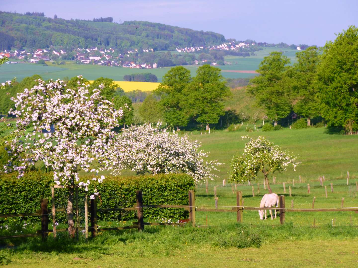 Entschleunigungs-Wochenende mit Yoga, Natur und gutem Essen