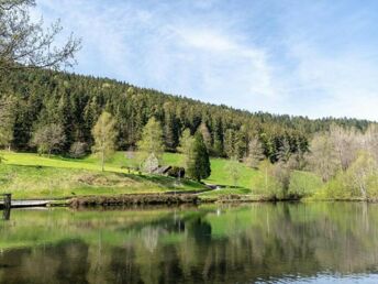 Unsere 2 Tage Auszeit im Schwarzwald