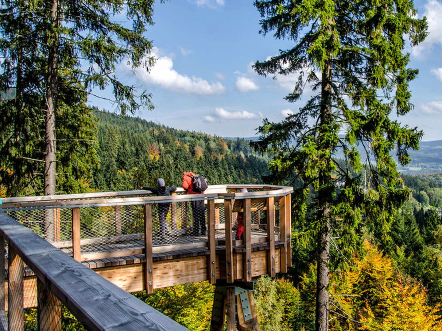 2 Tage Natur pur im schönen Schwarzwald mit Baumwipfelpfad