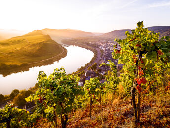 Romantik Special Deluxe - 3 Tage direkt an der Mosel im Weinhotel