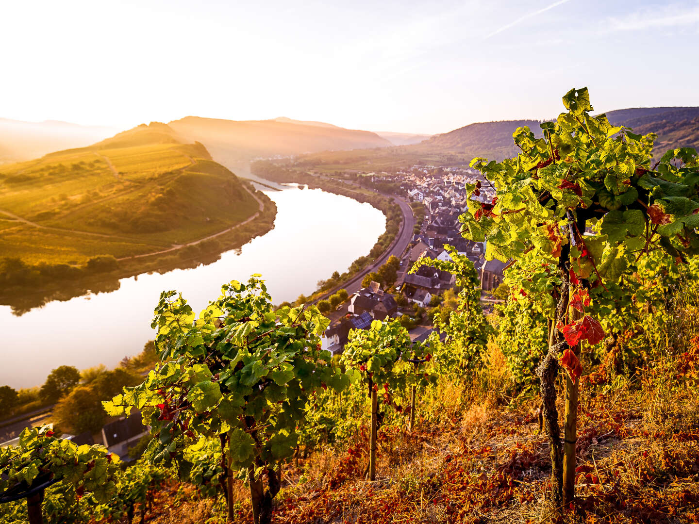 Kulinarische Moselromantik im Weinhotel direkt an der Mosel