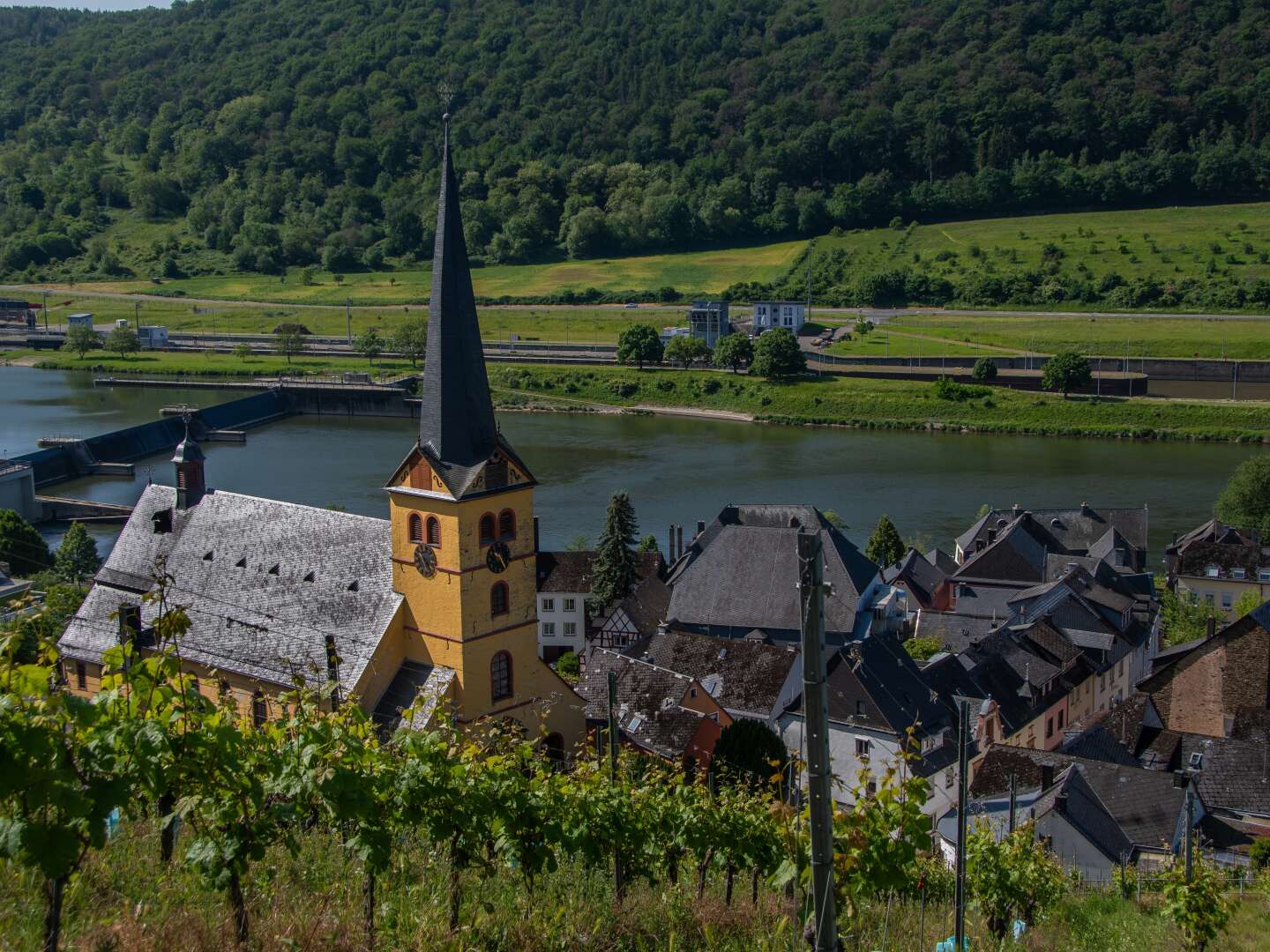 Moselrückenmoor - 3 Tage im Weinhotel direkt an der Mosel