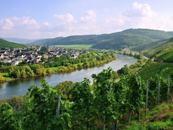 Braukeller Arrangement mit Wellness-Anwendungen an der Mosel