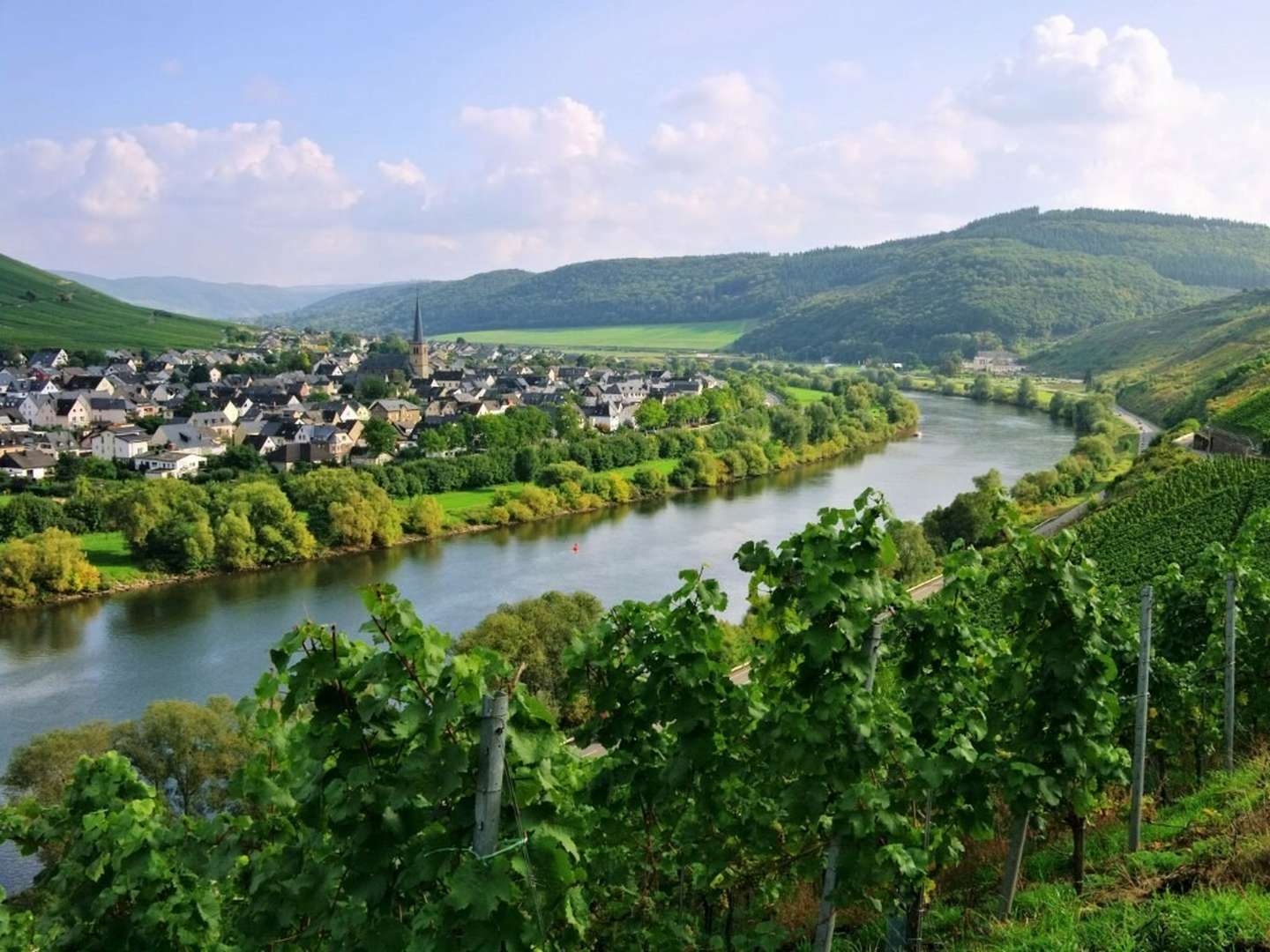 HOT | 3 Nächte an der Mosel