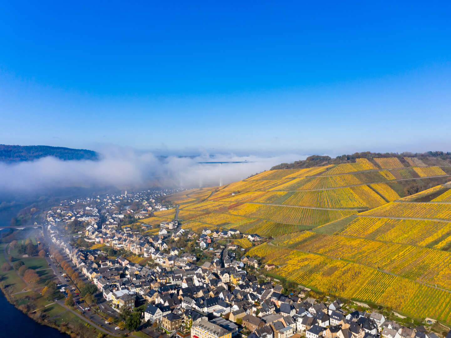 Faszination Mosel im Weinhotel