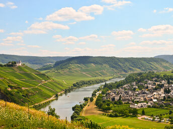 Winter Spezial | 3 Tage an der Mosel inkl. Raclett- & Gänseessen