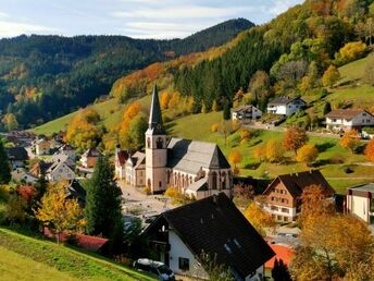 4 Wandertage im schönen Schwarzwald inkl. Halbpension