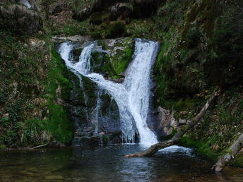 Den Schwarzwald entdecken - 4 Tage wandern