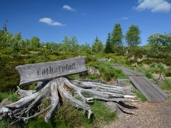 4 Wandertage im schönen Schwarzwald inkl. Halbpension