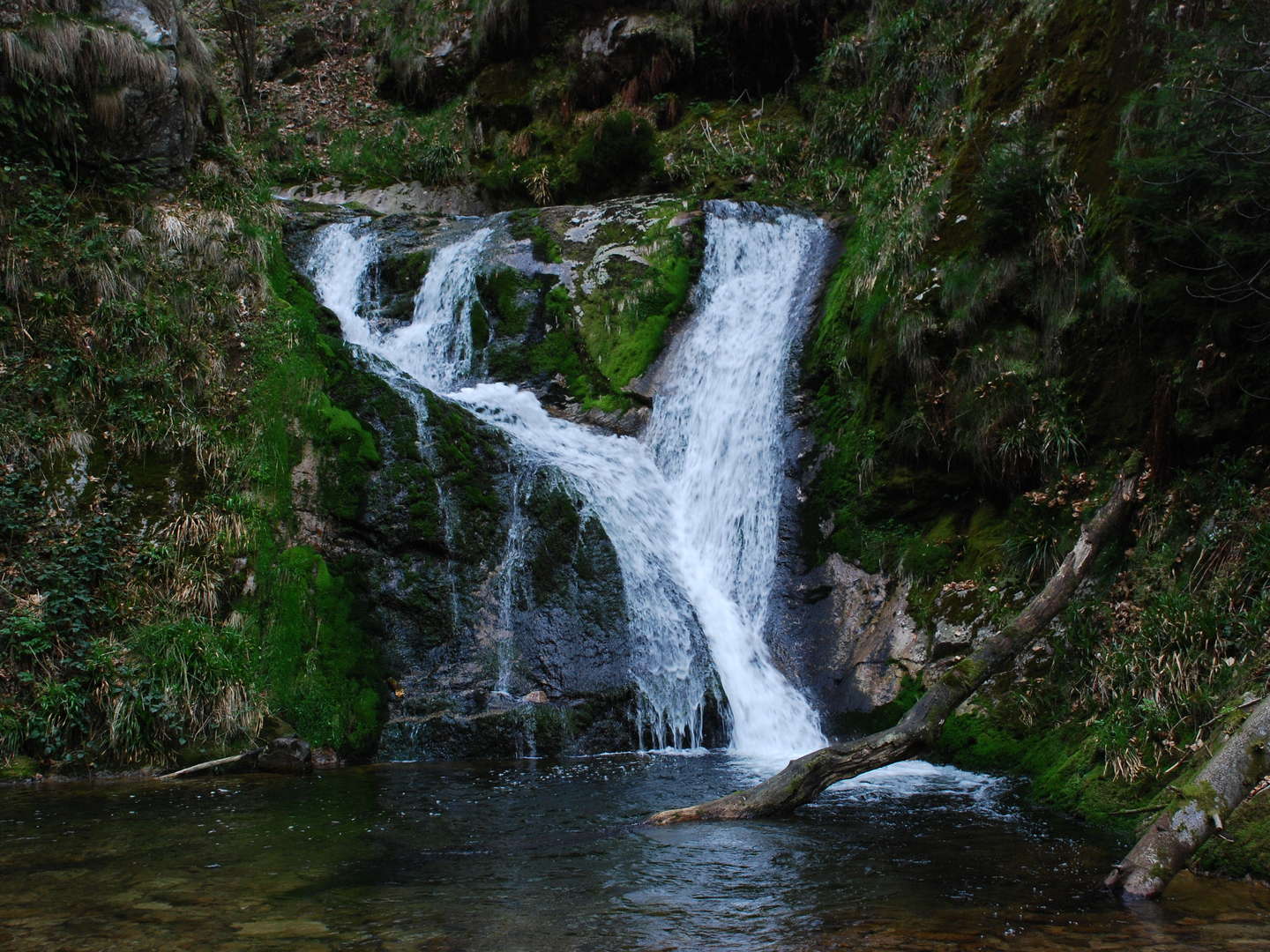 Dem Alltag geb' ich frei - 4 Tage Schwarzwald pur!