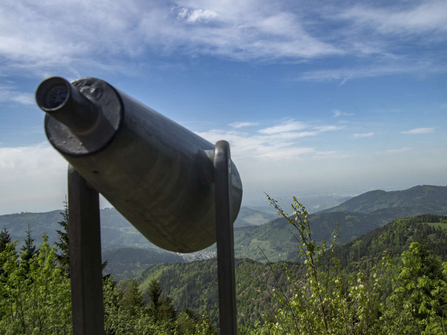 4 Wandertage im schönen Schwarzwald inkl. Halbpension