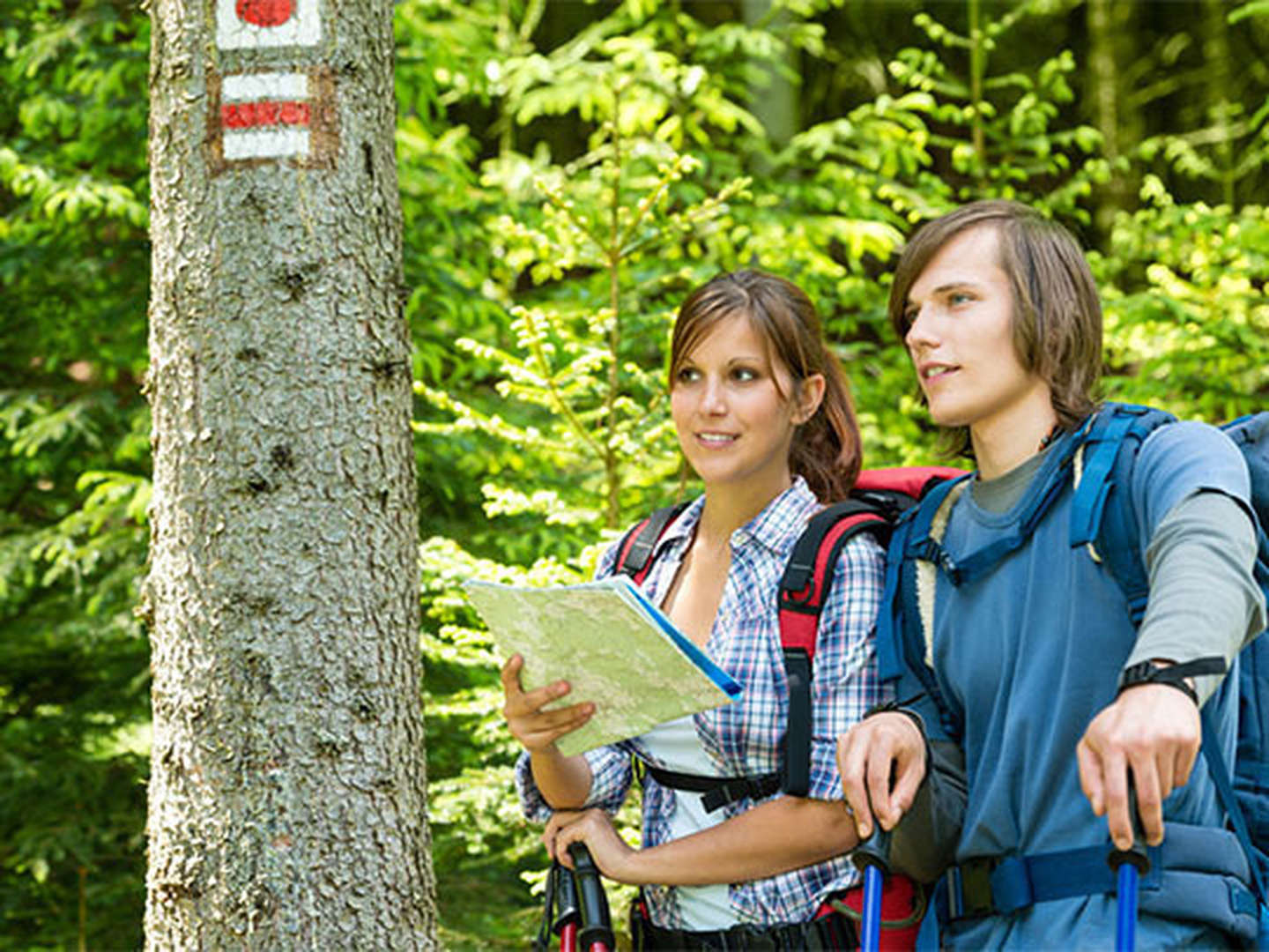 4 Wandertage im schönen Schwarzwald inkl. Halbpension