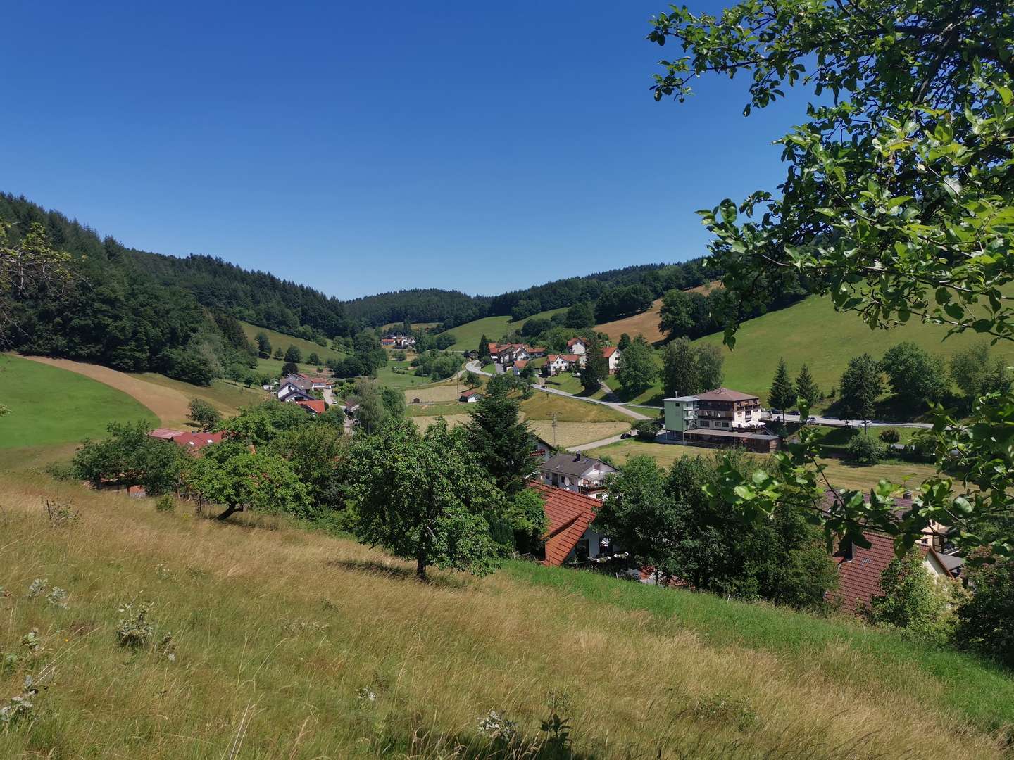 Verwöhnwochenende inkl. Halbpension im Odenwald inkl. Halbpension