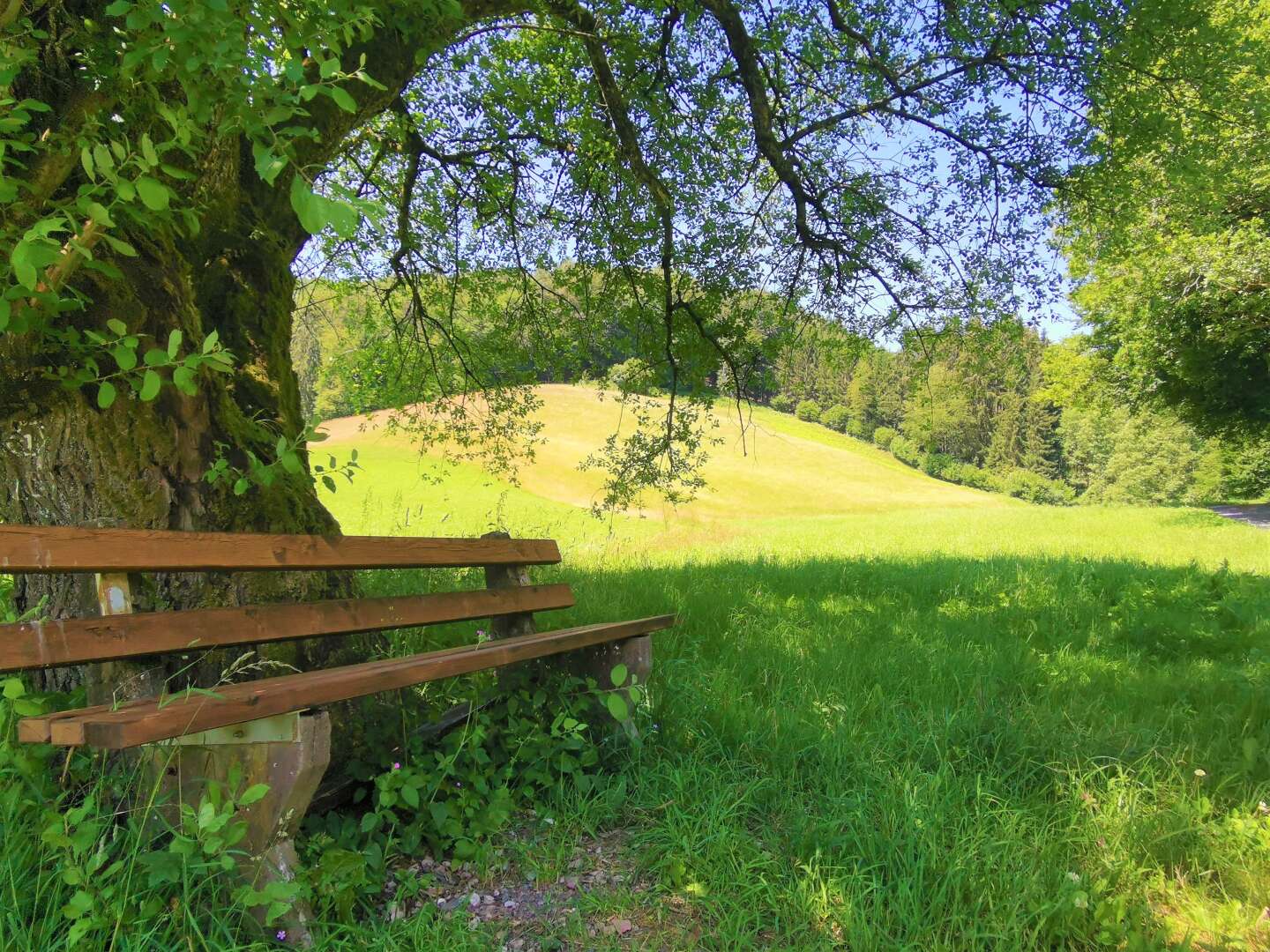 Verwöhnwochenende inkl. Halbpension im Odenwald inkl. Halbpension