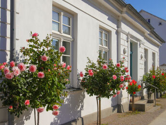 Schnupperurlaub an Bord der Nautilus (Nov.-Dez.)