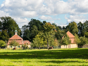 Von Moritzburg nach Dresden inkl. Abendessen 