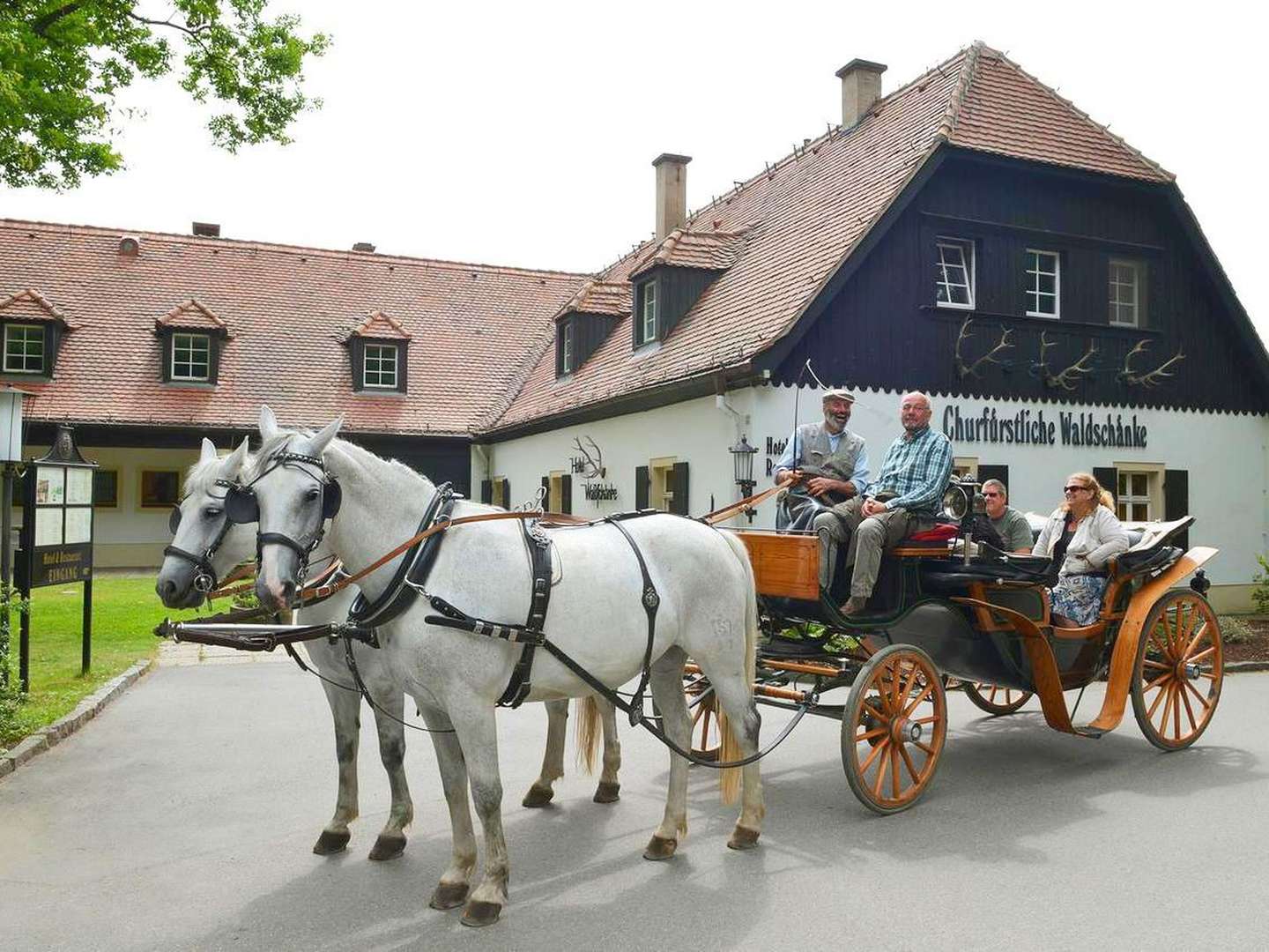 Sächsisches Weinerlebnis inkl. Abendessen 