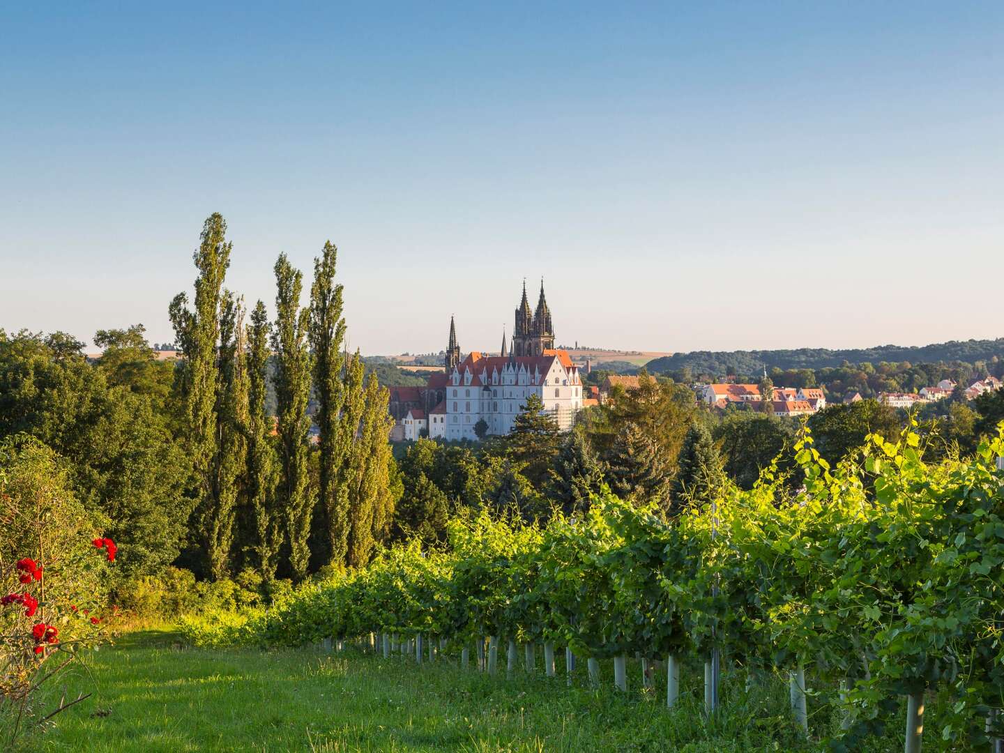 Von Moritzburg nach Dresden inkl. Abendessen 