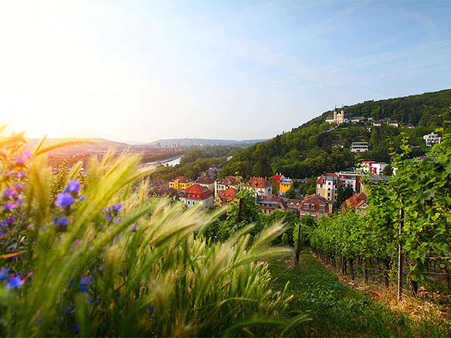 Sommer-Special in Würzburg inkl. Abendessen 2