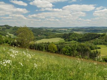 Kurztrip ins Sauerland - inkl. HP