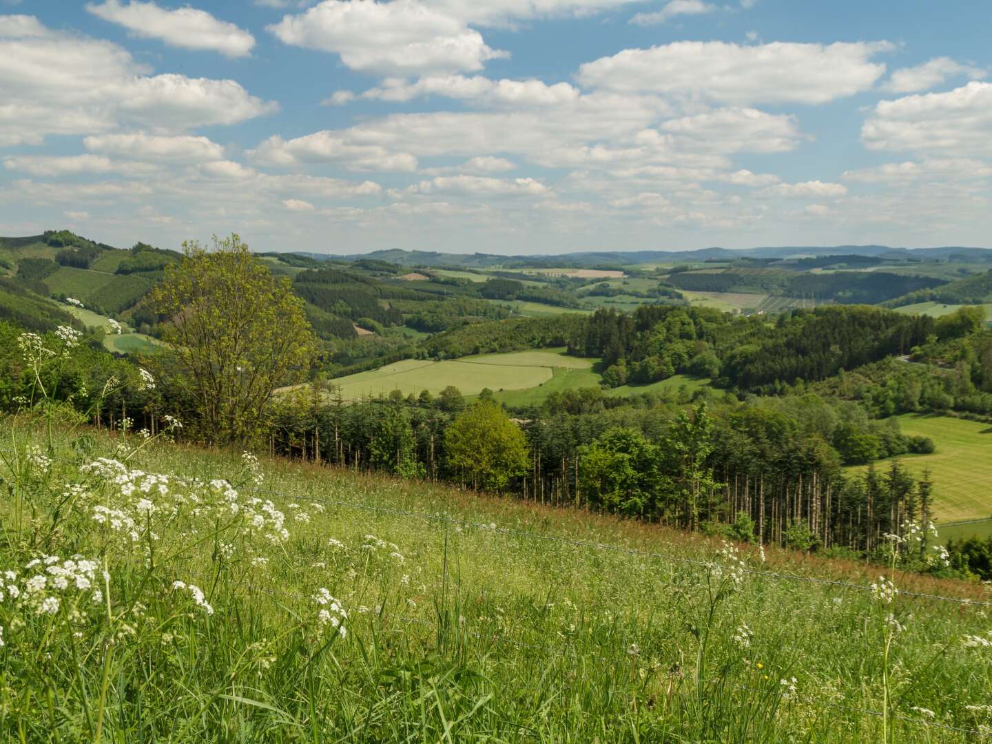 Wander - Schnuppertage im Sauerland