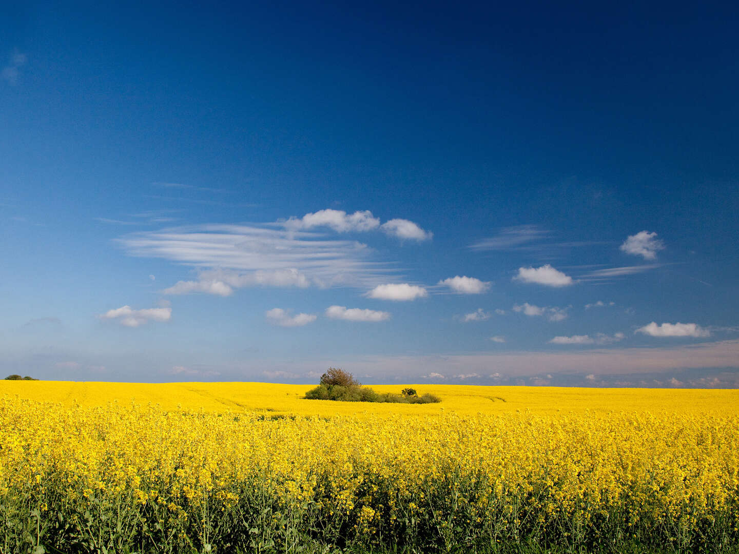 Kurzurlaub auf Rügen I 4 Nächte