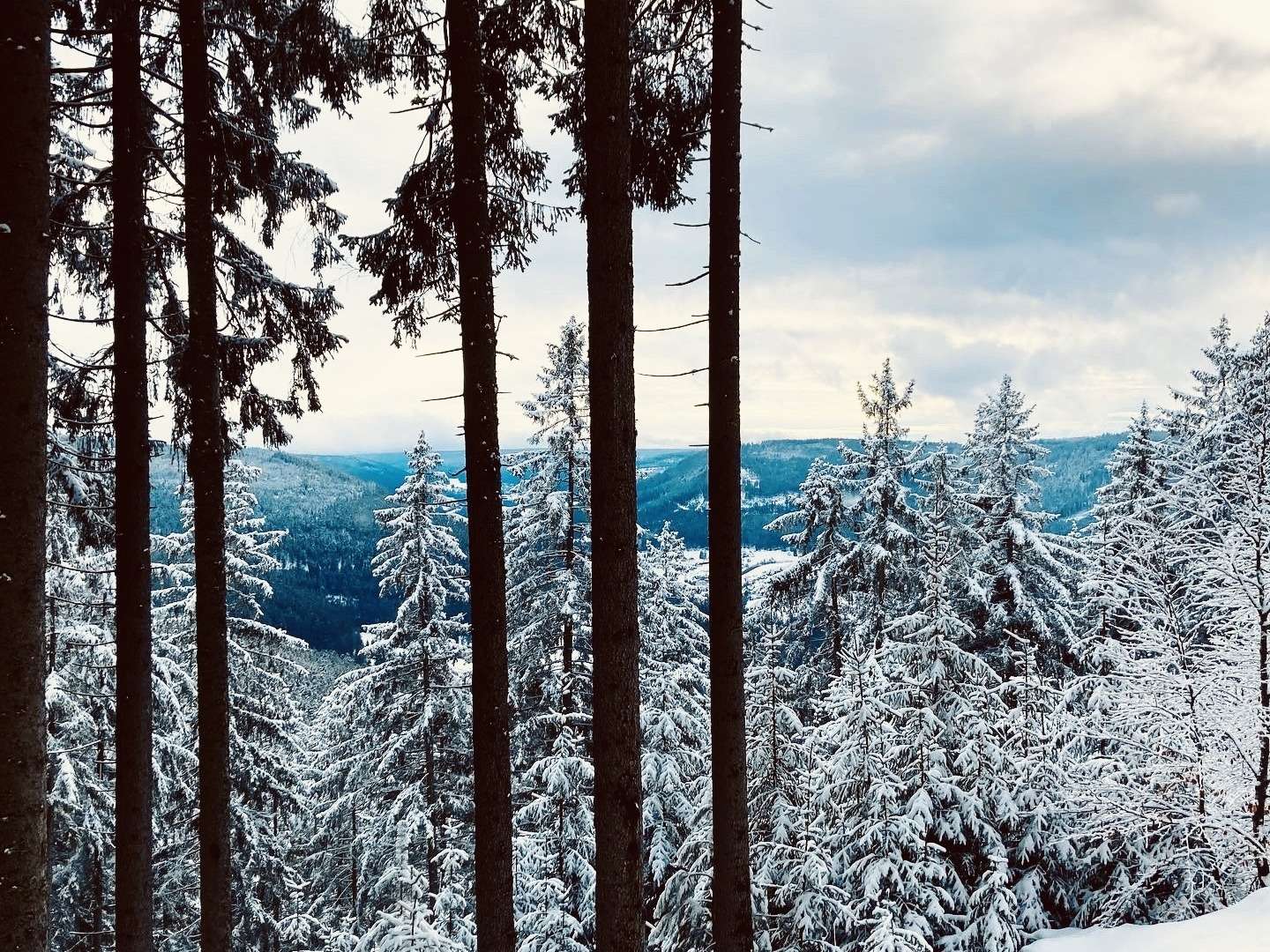 Schlemmer- Wellnesswochenende im Schwarzwald