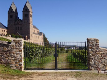 2 Tage Last Minute im Rheingau - Wandern inmitten schönster Natur